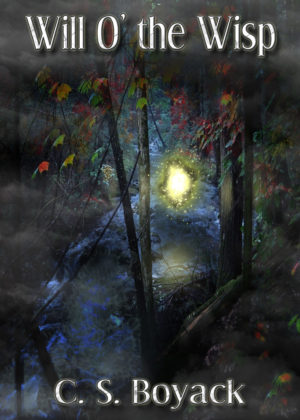 mediakit_bookcover_willothewisp