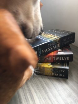 books-the passage trilogy
