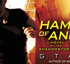 Review: Hammer of Angels by G.T. Almasi