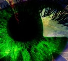Spotlight: The Curse of Betrayal by Taylor Lavati