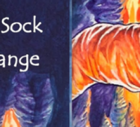 Book Giveaway: Conspirators of the Lost Sock Army and the Loose Change Collection Agency