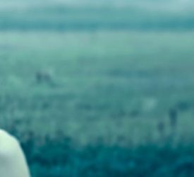 Review: Eleanor by Johnny Worthen