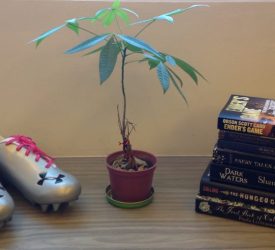 The stack of books on my header photo is a stack of lies.