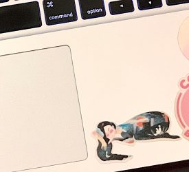 I’m a sucky blogger, but check out these cool things!