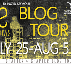 Review of Ignite The Shadows by Ingrid Seymour (plus a giveaway!)