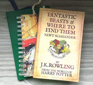 Fantastic Beasts and Where to Find Them is fantastic