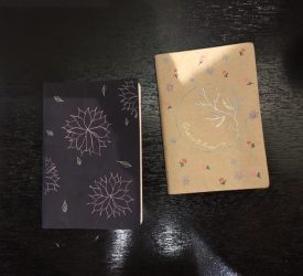 Yoga Challenge and 28 Day Reset Challenge Report