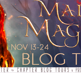 Spotlight and Giveaway: Mad Magic by Nicole Conway