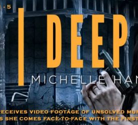 Spotlight and Giveaway: Skin Deep by Michelle Hanson