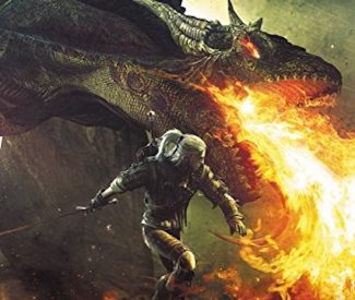 The Last Wish by Andrzej Sapowski
